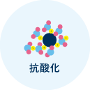 抗酸化